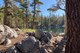 Ostrander Lake Scenic View