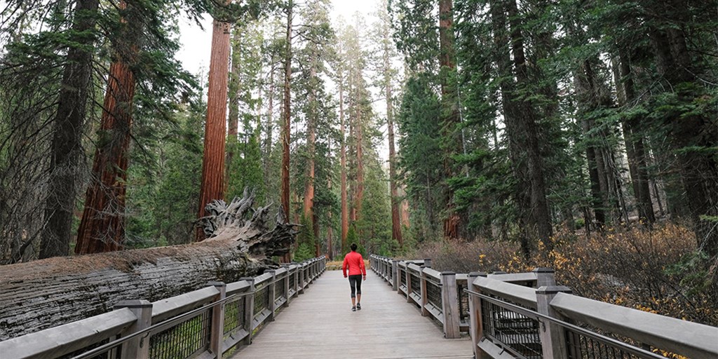 Yosemite: Nothing Else Like It