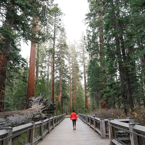 Yosemite: Nothing Else Like It